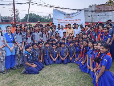 Tree Plantation Drive