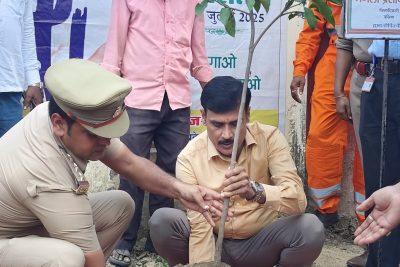 Tree Plantation Drive