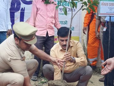 Tree Plantation Drive