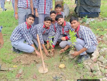 Tree Plantation 2026
