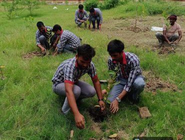 Tree Plantation 2026