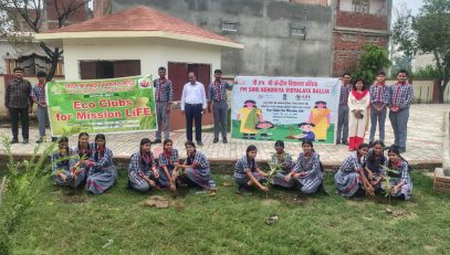 Tree Plantation 2026