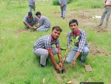 Tree Plantation 2026