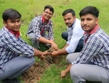 Tree Plantation 2026