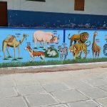 Bala (2)