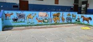 Bala (2)
