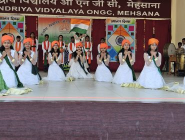 Republic day celebration 2025