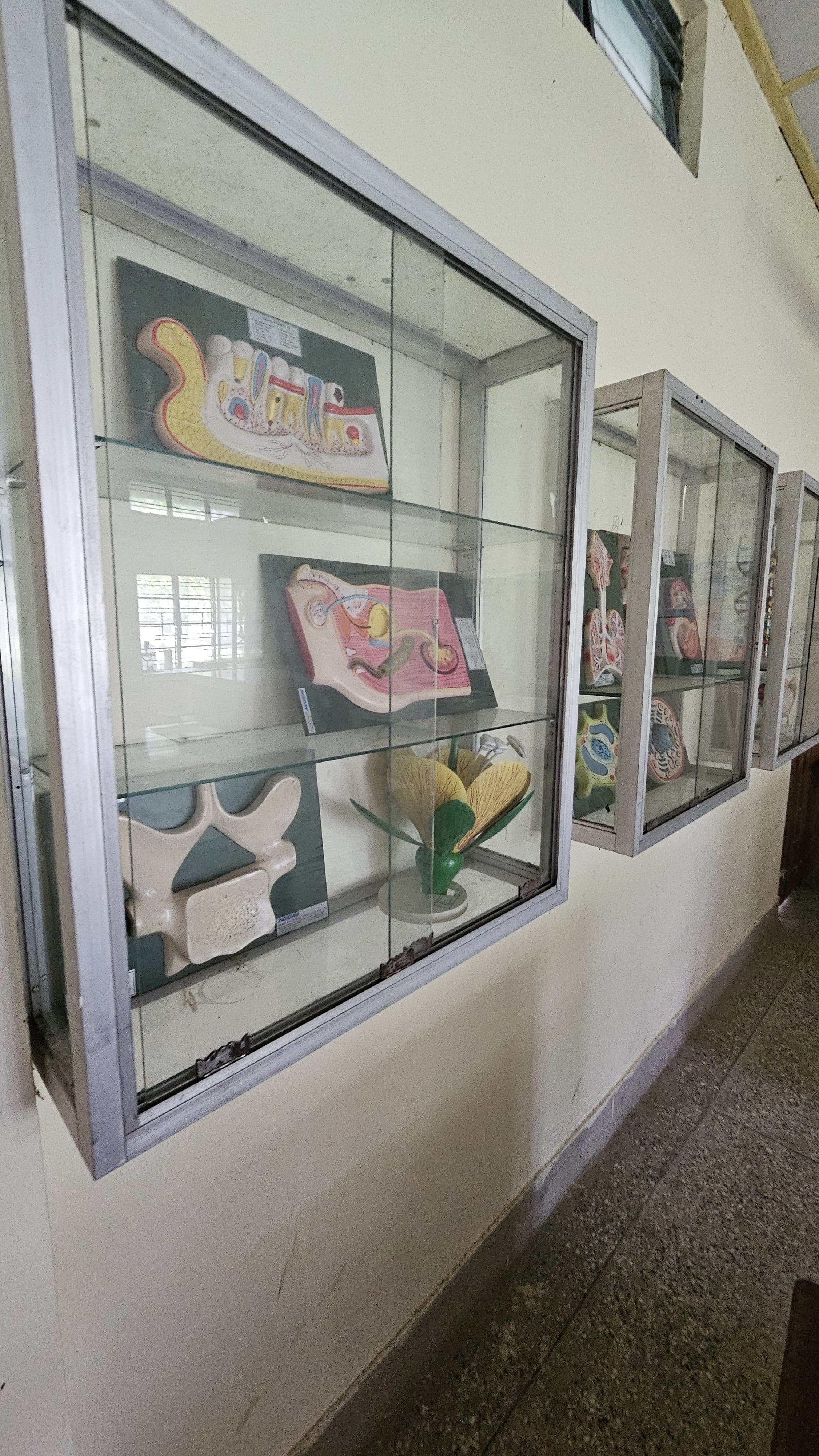 जीवविज्ञान प्रयोगशाला