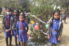 BULBUL TREE DECORATION