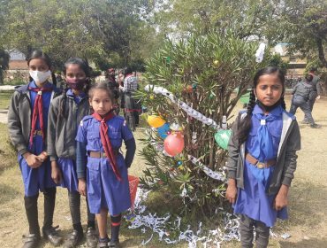 BULBUL TREE DECORATION