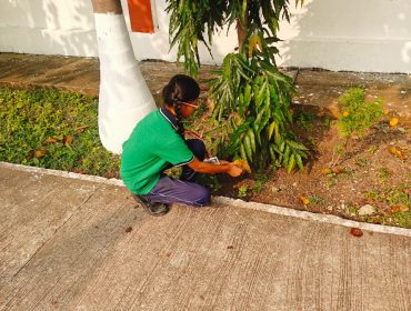 स्वच्छता ही सेवा 2025