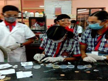 SCIENCE ACTIVITY