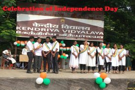 Celebration of Independence Day