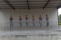 Dance Performance