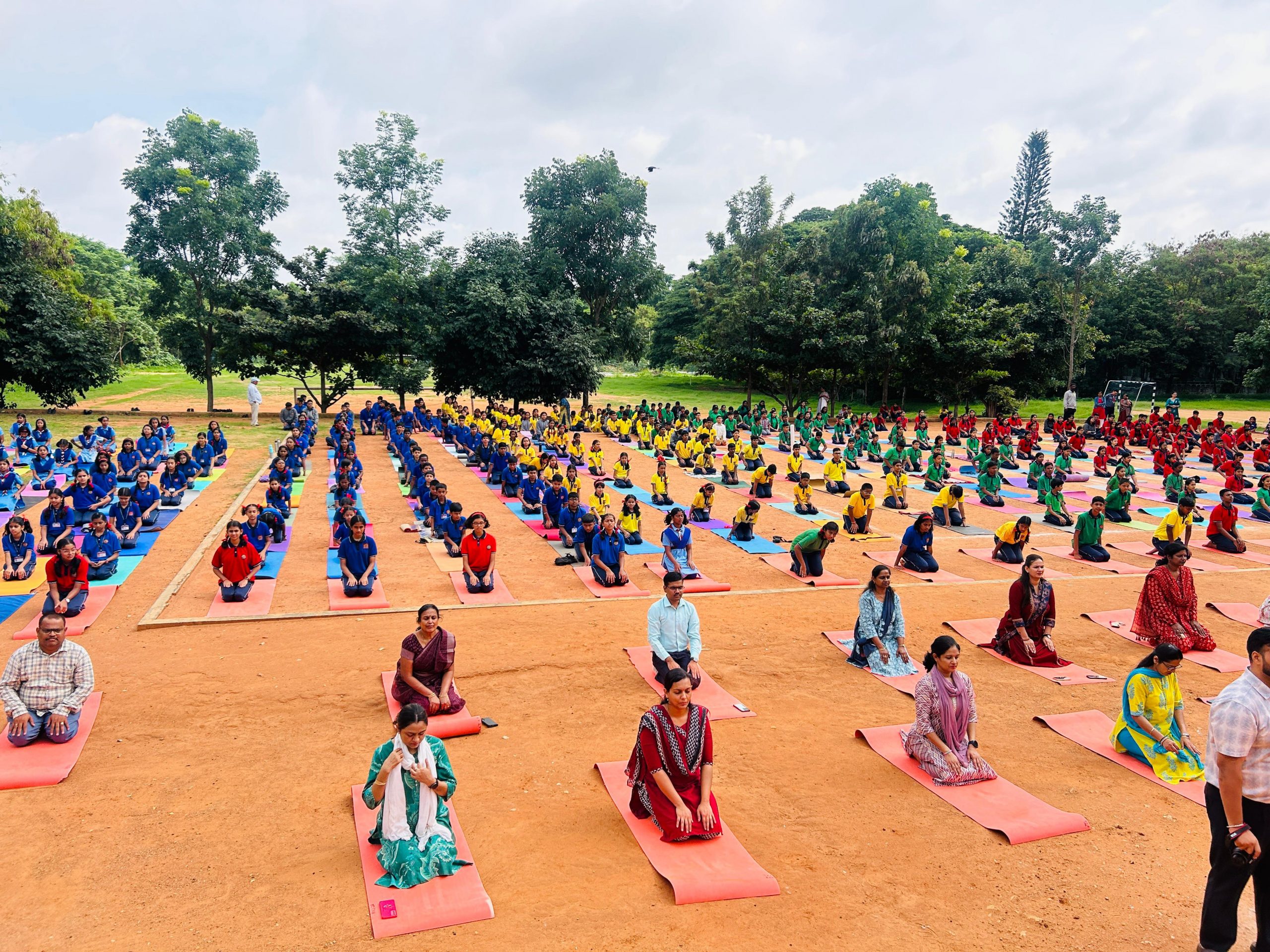 IDY253