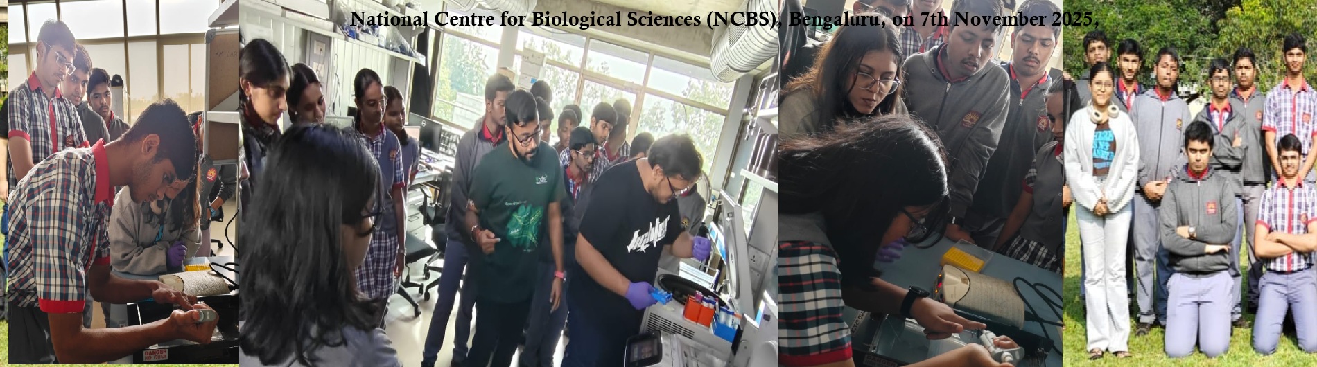 ncbs banner