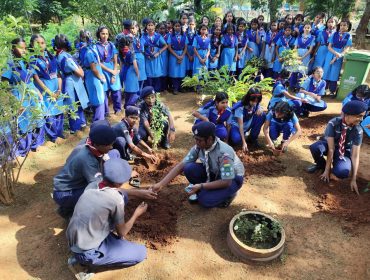 SCOUTS AND GUIDES E