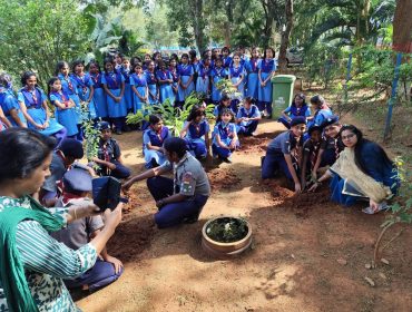 SCOUTS AND GUIDES D