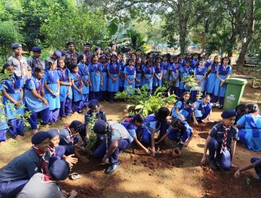 SCOUTS AND GUIDES G