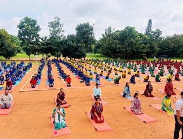 IDY253