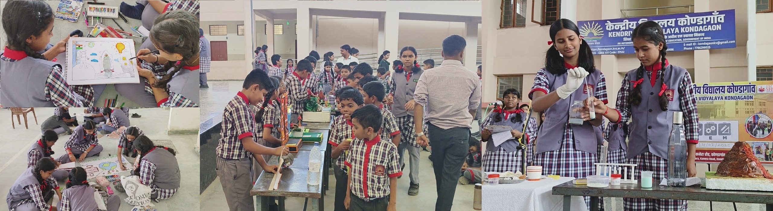 stem week
