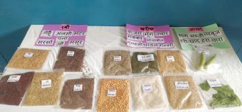 नवप्रवर्तन