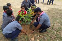 सामाजिक सहभाग