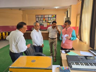 वार्षिक पैनल निरीक्षण