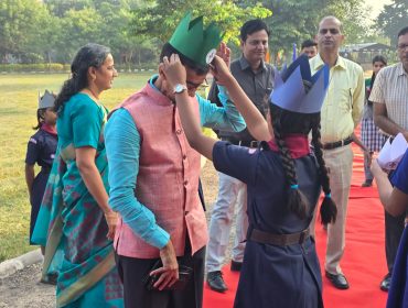 वार्षिक पैनल निरीक्षण