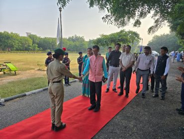 वार्षिक पैनल निरीक्षण