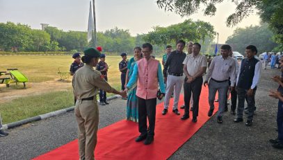 वार्षिक पैनल निरीक्षण