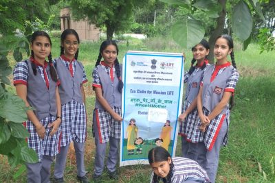 Tree plantation under Swachhta pakhwada