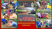 environment day