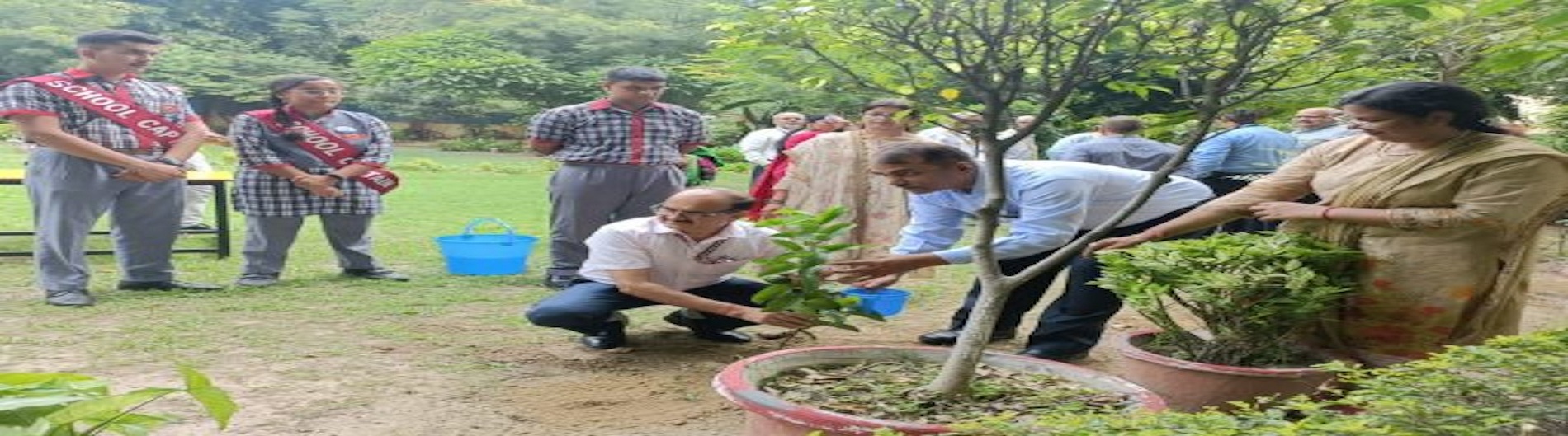 Tree Plantation by DC Sir