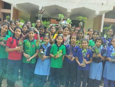 Green Drive Under Swachhata Pakhwada