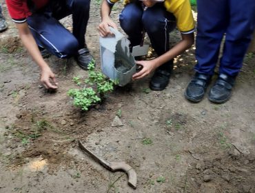 Green Drive Under Swachhata Pakhwada