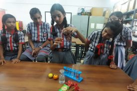 science activity