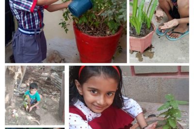 world environment day