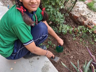 DRIP IRRIGATION