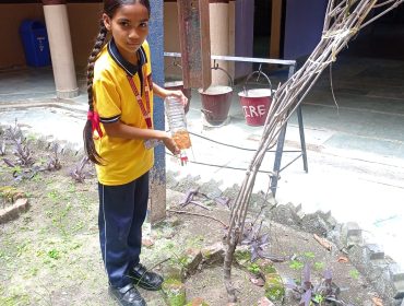 DRIP IRRIGATION