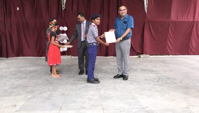 Panel Inspection