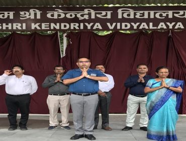वार्षिक पैनल निरीक्षण