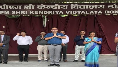 वार्षिक पैनल निरीक्षण