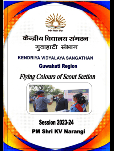 Scout and Guide Activities at a glance