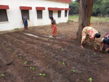 KITCHEN GARDEN