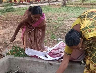 VERMI COMPOST