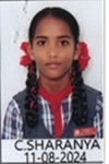student name