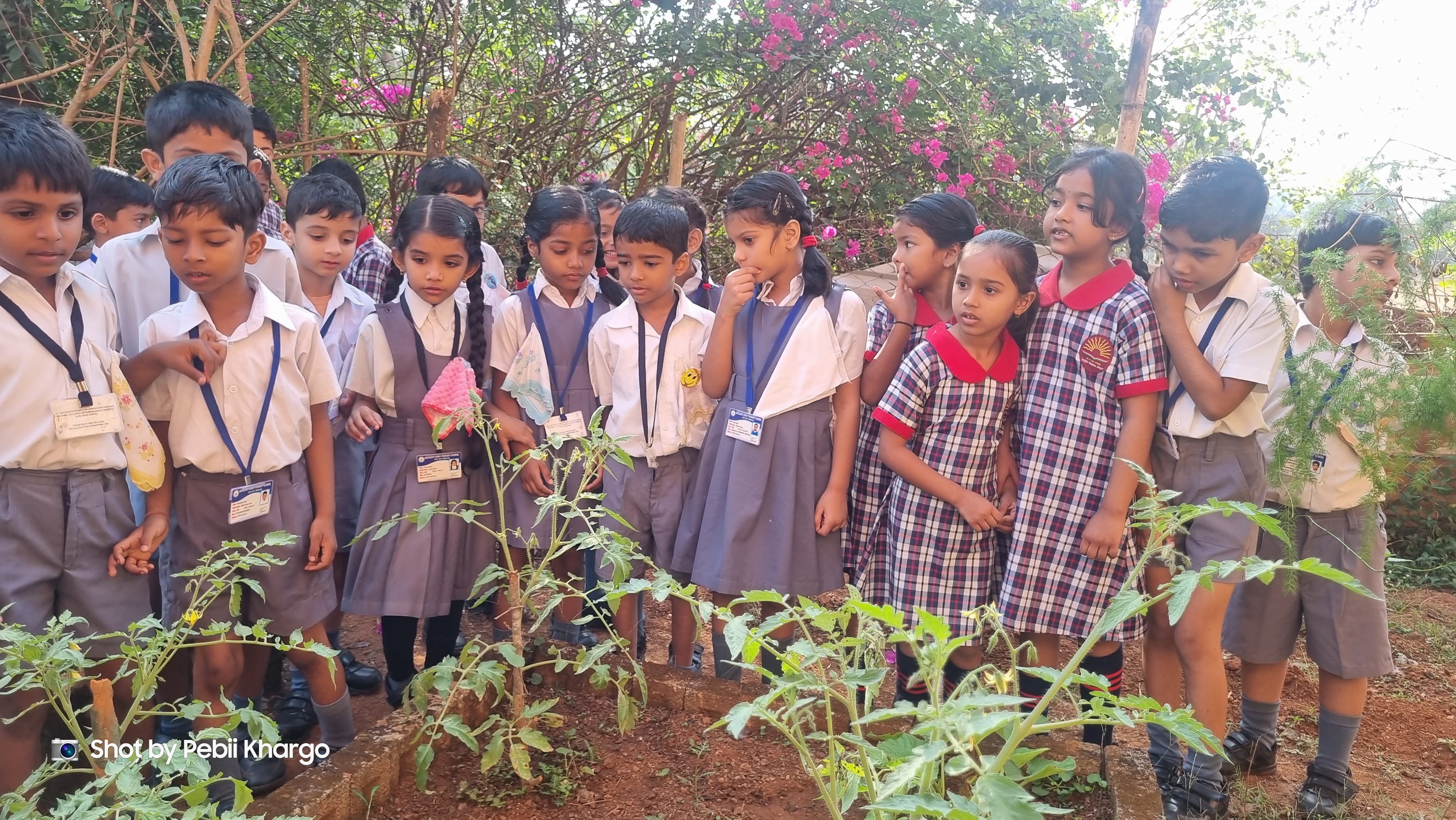 अन्य स्कूलों के साथ साझेदारी