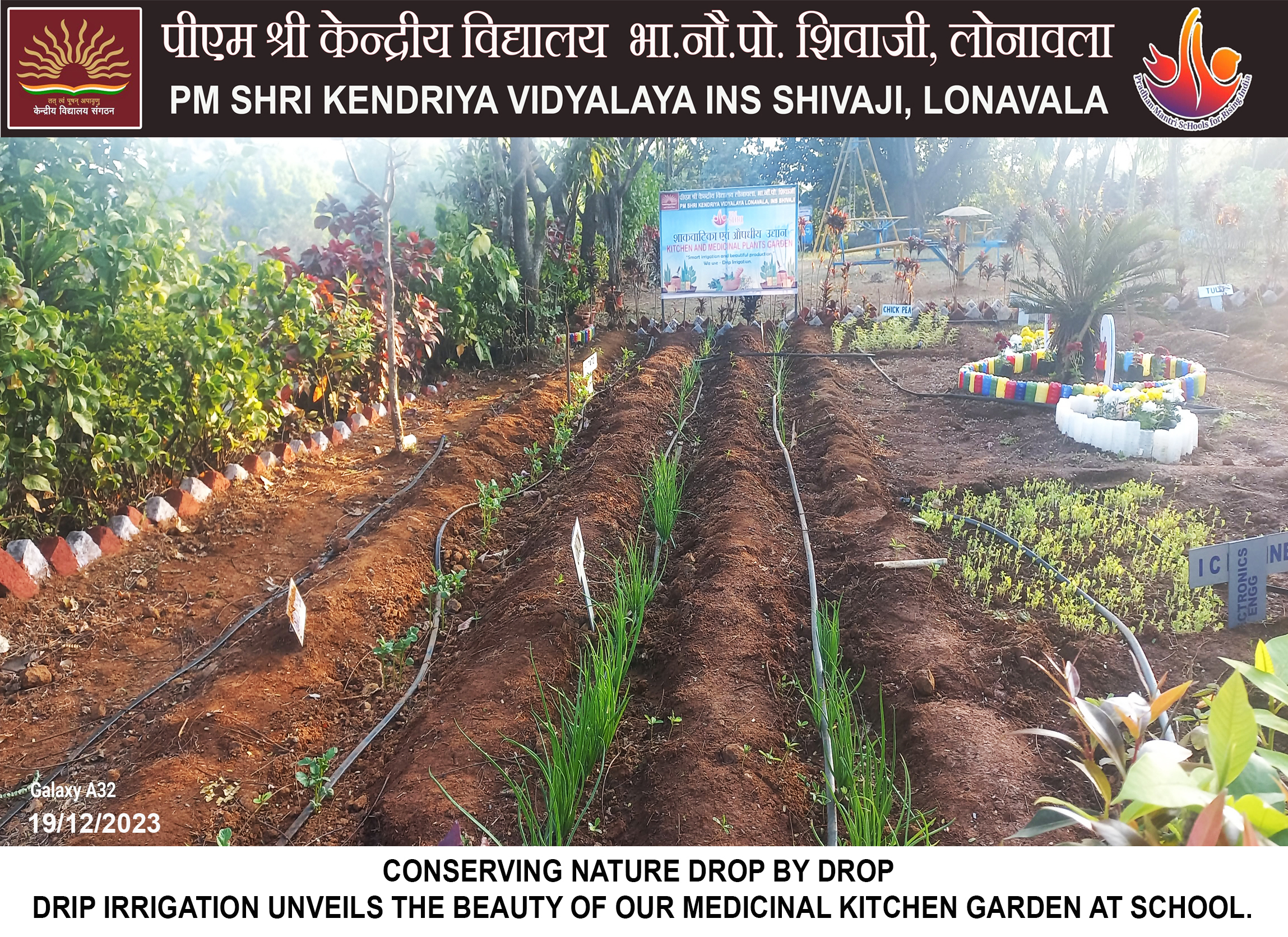 ड्रिप सिचाई