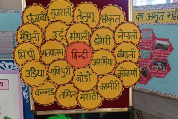 Hindi rajbhasha inspection